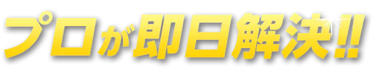 プロが即日解決!